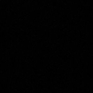 Meet your Posher, Joey